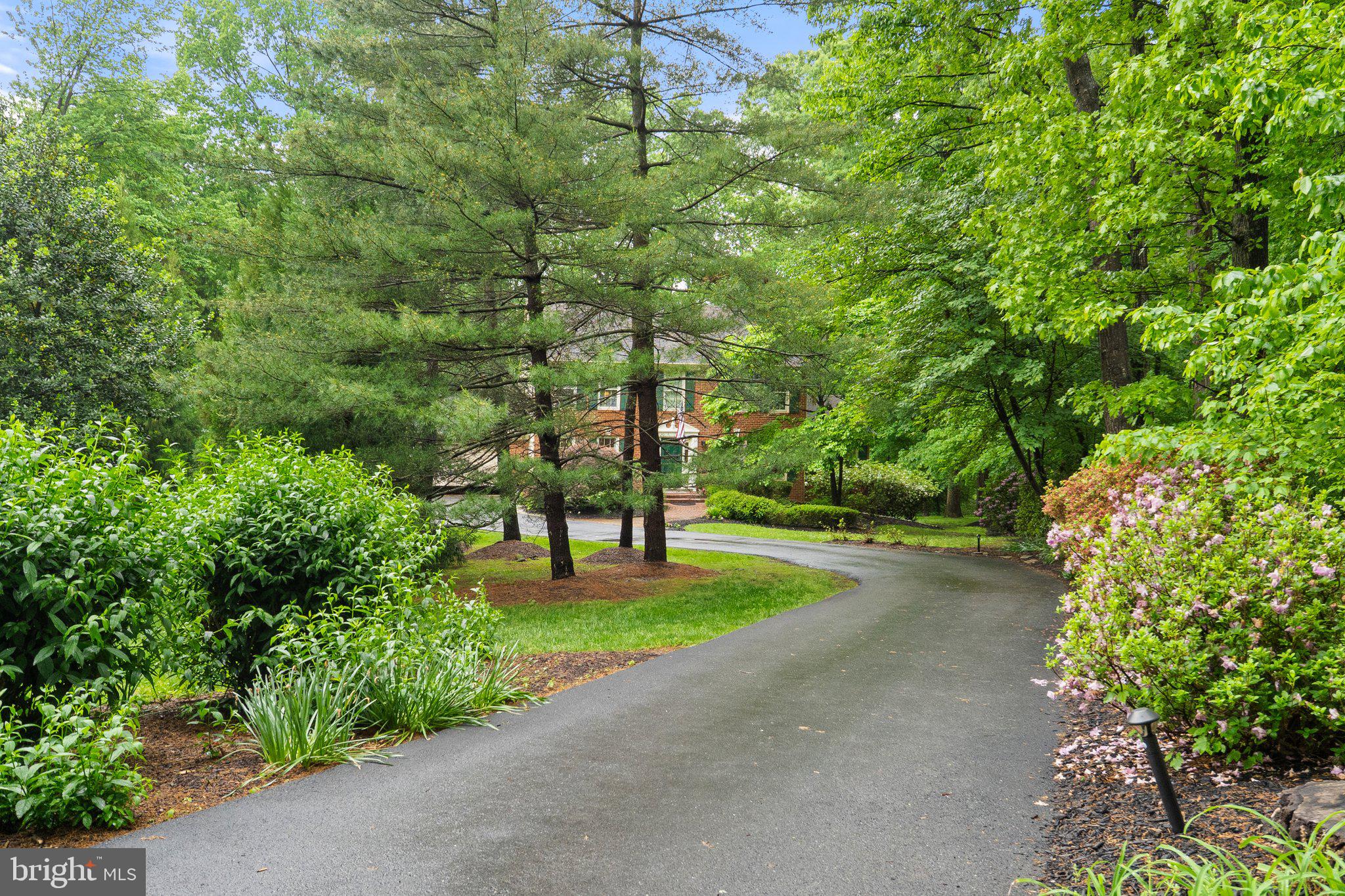 11100 Burywood Lane Reston, VA 20194 - Photo 3 of 42 a view of a street with a bench and trees