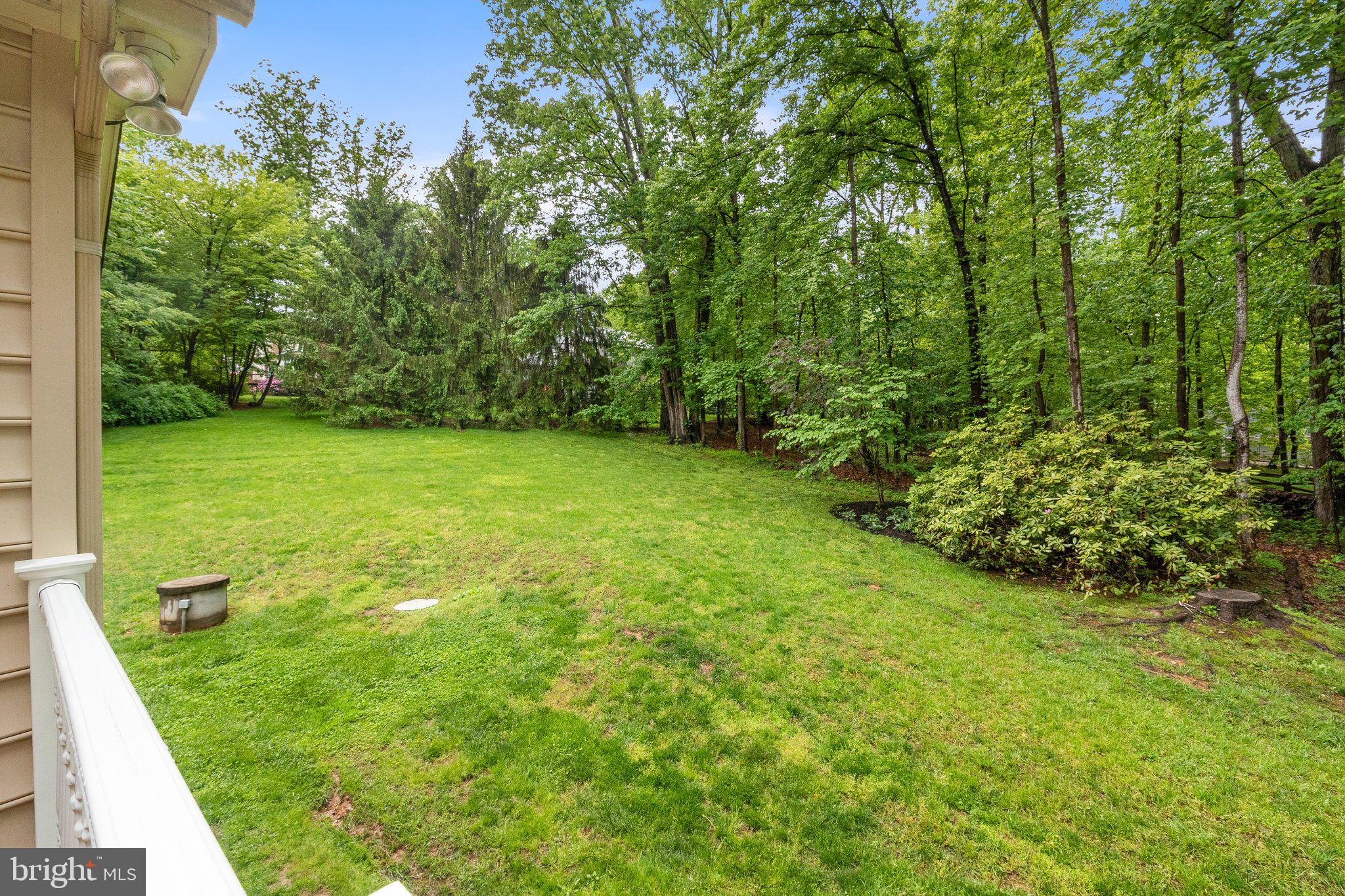 11100 Burywood Lane Reston, VA 20194 - Photo 37 of 42 a view of a yard with a trees