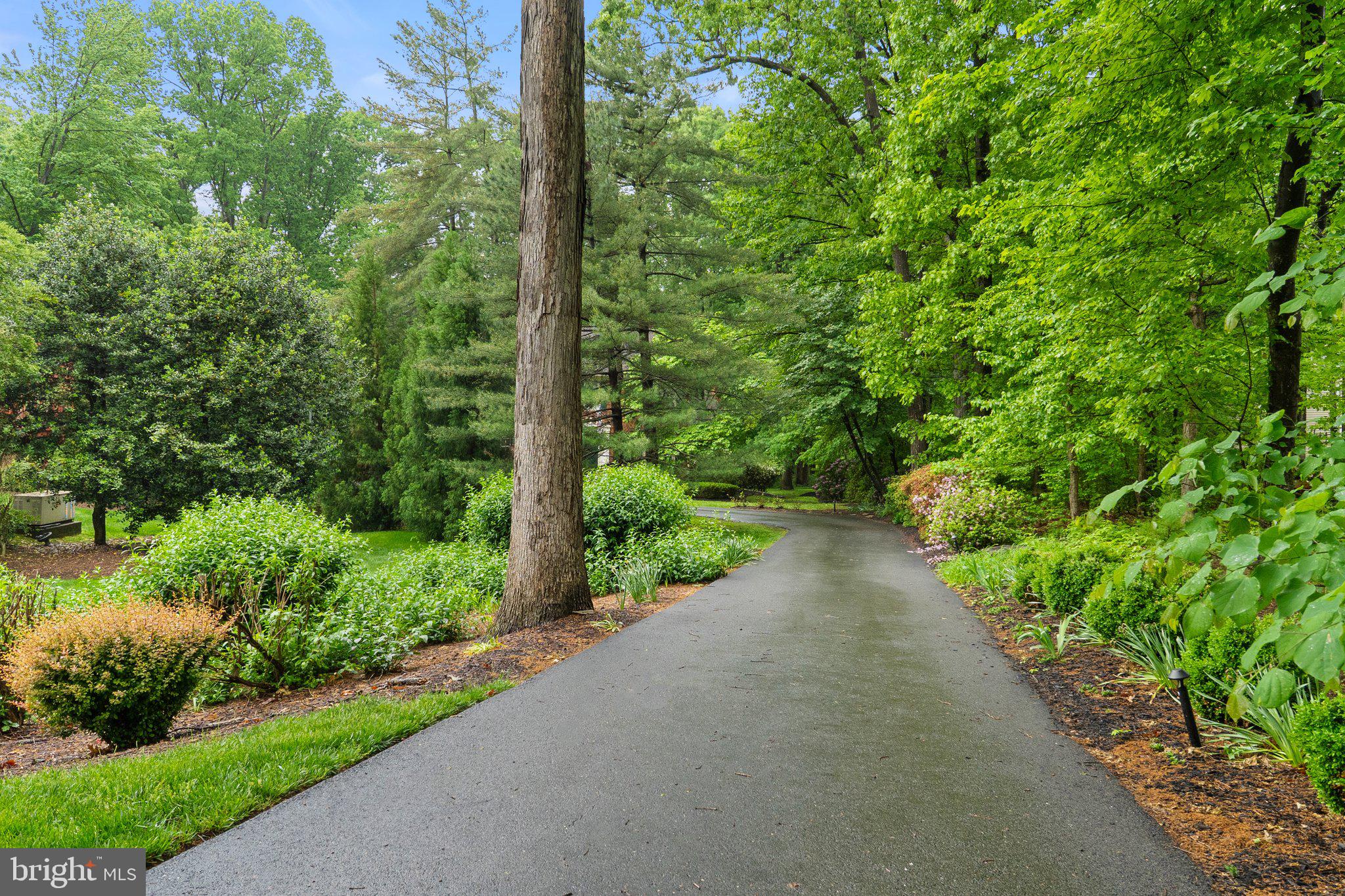 11100 Burywood Lane Reston, VA 20194 - Photo 41 of 42 a view of a pathway both side of a yard