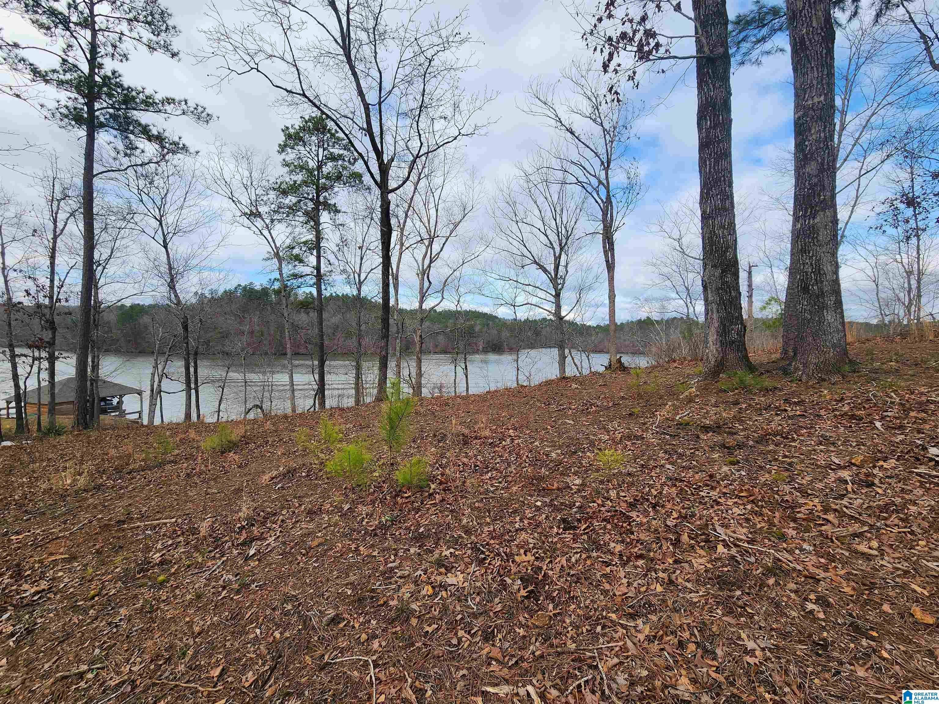 Lot 8 Eagle Mountain Road, Unit 8 Alexander City, AL 35010 - Photo 8 of 27