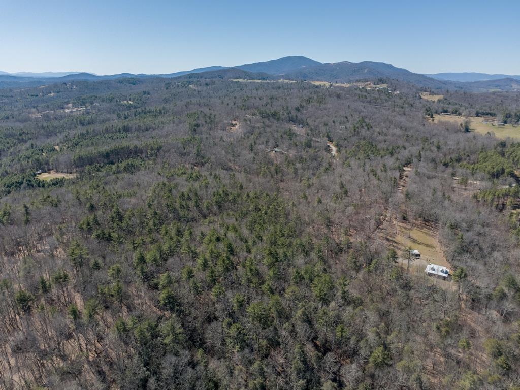 Lot 12 Ridge Line Trail, Unit 12 Independence, VA 24348 - Photo 3 of 66 Gallery Image 3