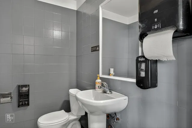 a bathroom with a sink toilet and mirror