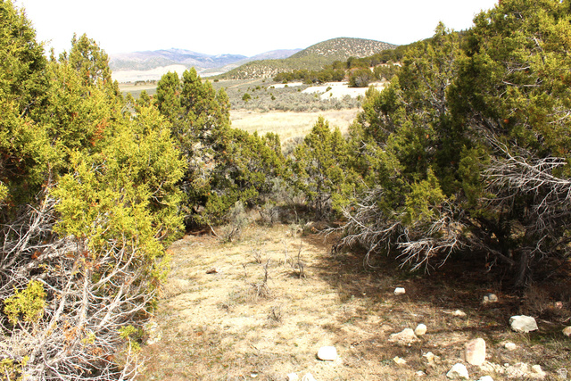North W, Unit 93 Fairview, UT 84629 - Photo 4 of 23