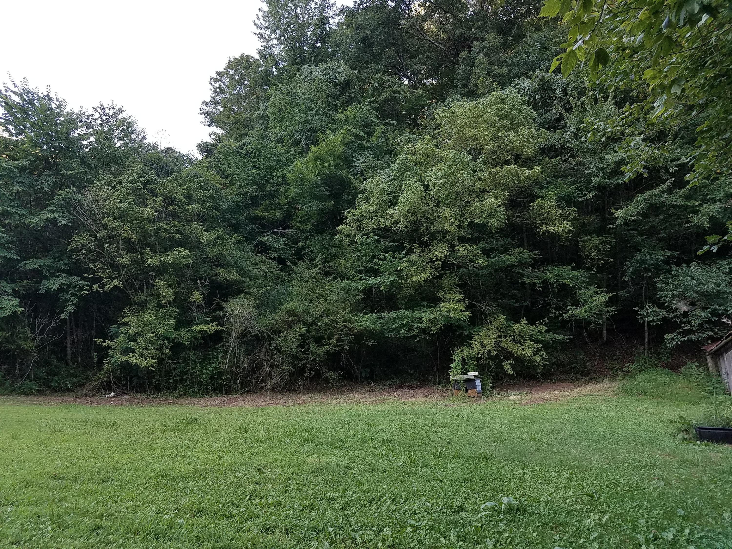 417 Davis Chapel Road Kyles Ford, TN 37765 - Photo 2 of 28 20170820_183553