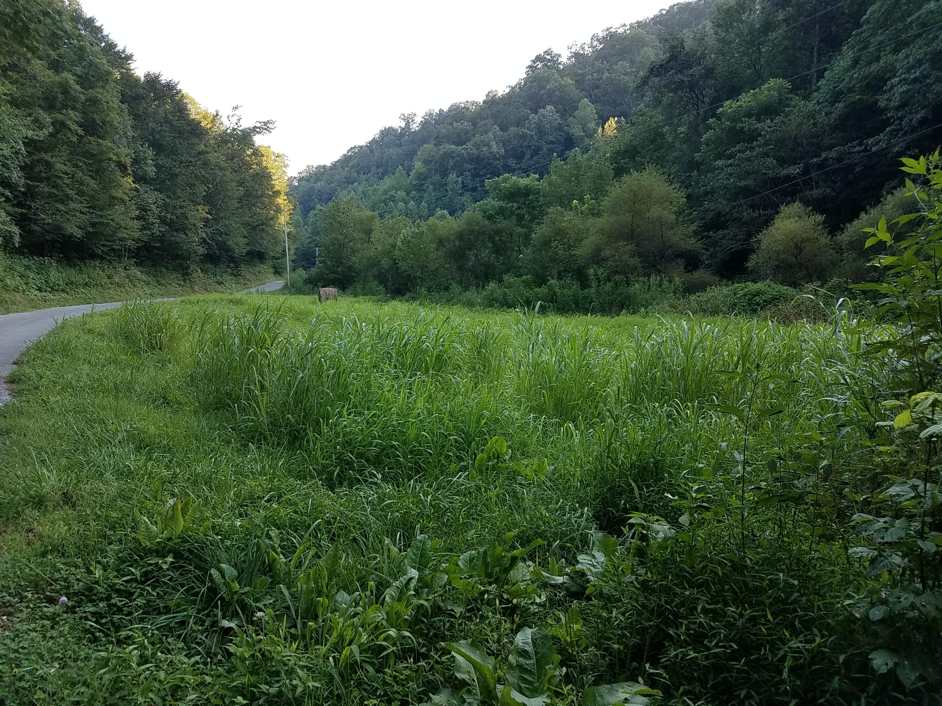 417 Davis Chapel Road Kyles Ford, TN 37765 - Photo 3 of 28 20170820_184817
