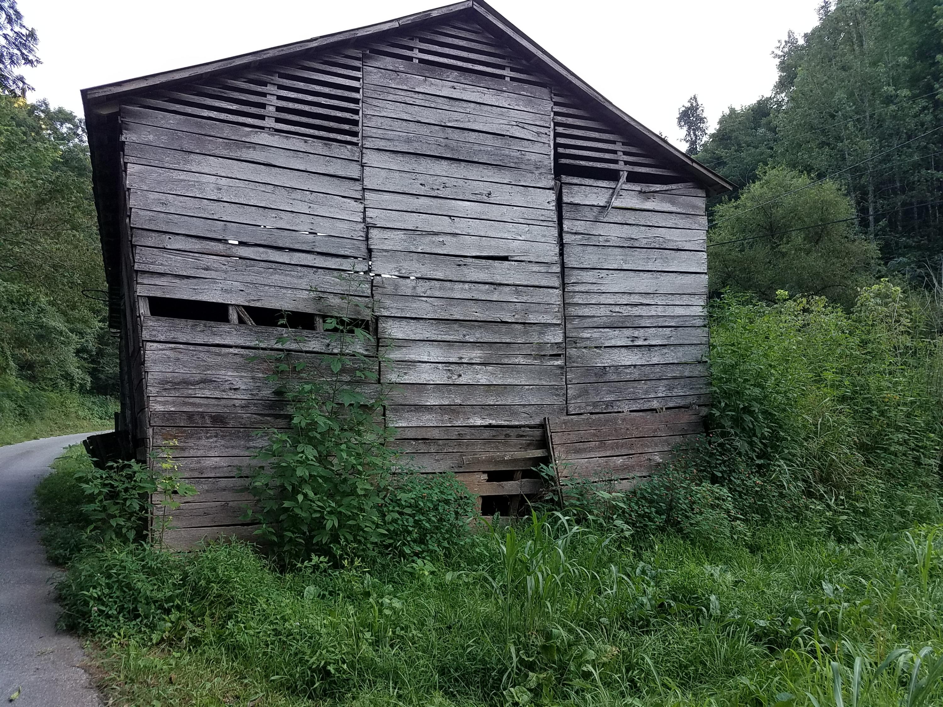 417 Davis Chapel Road Kyles Ford, TN 37765 - Photo 26 of 28 20170820_184711