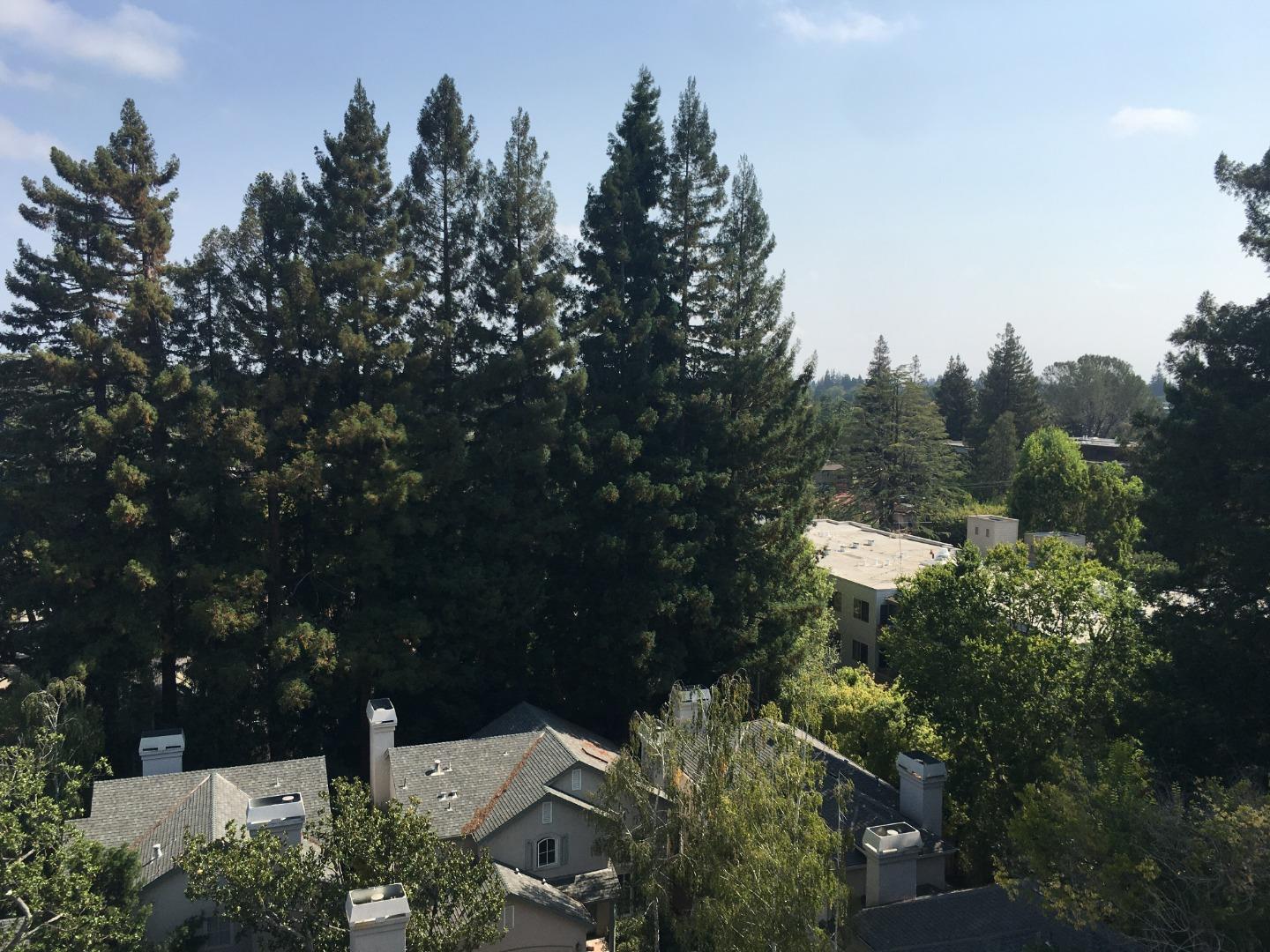 1330 University Drive, Unit 84 Menlo Park, CA 94025 - Photo 17 of 36