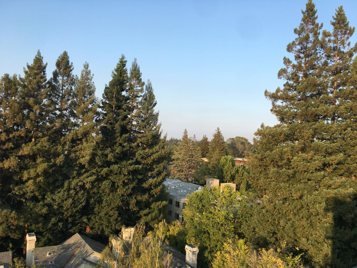 1330 University Drive, Unit 84 Menlo Park, CA 94025 - Photo 20 of 36