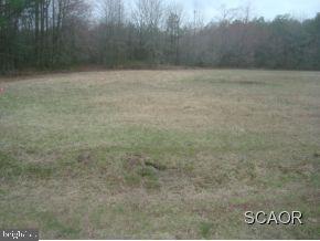 Waycross Road Delmar, DE 19940 - Photo 2 of 6 Gallery Image 2