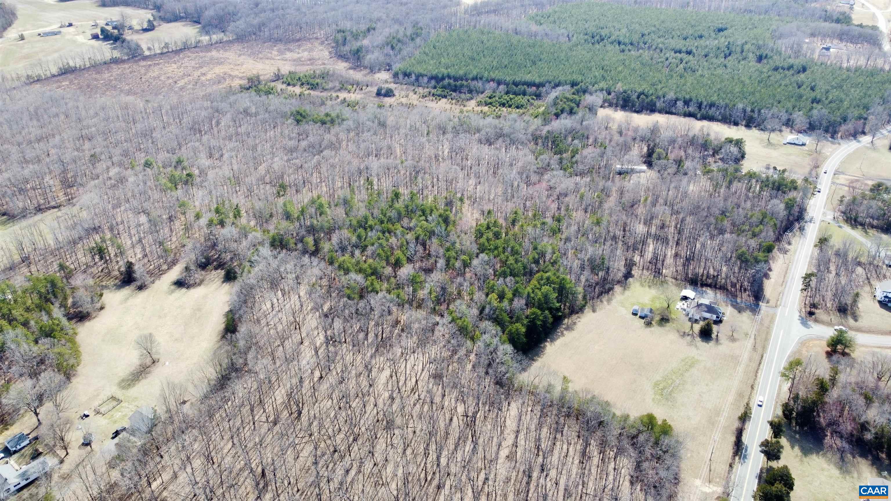 0 Courthouse Road Louisa, VA 23093 - Photo 4 of 16 a view of a backyard of a house