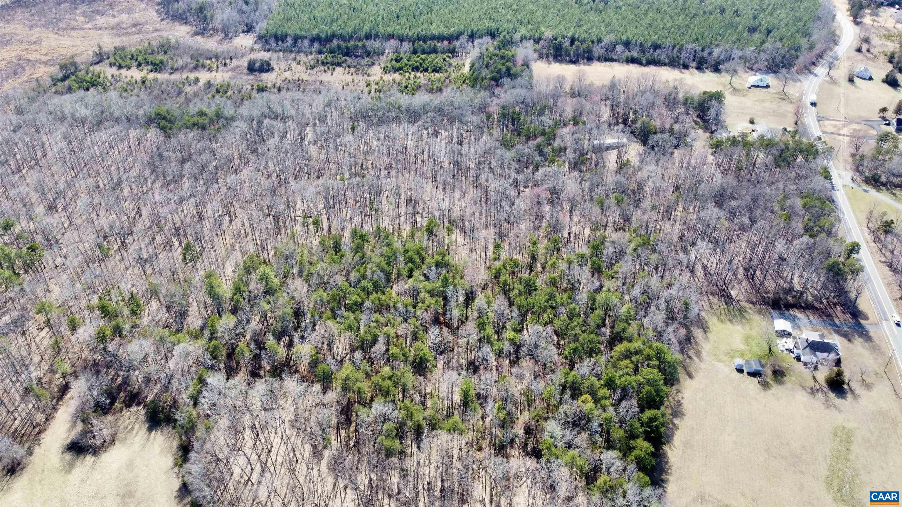 0 Courthouse Road Louisa, VA 23093 - Photo 5 of 16 a view of a bunch of trees and bushes