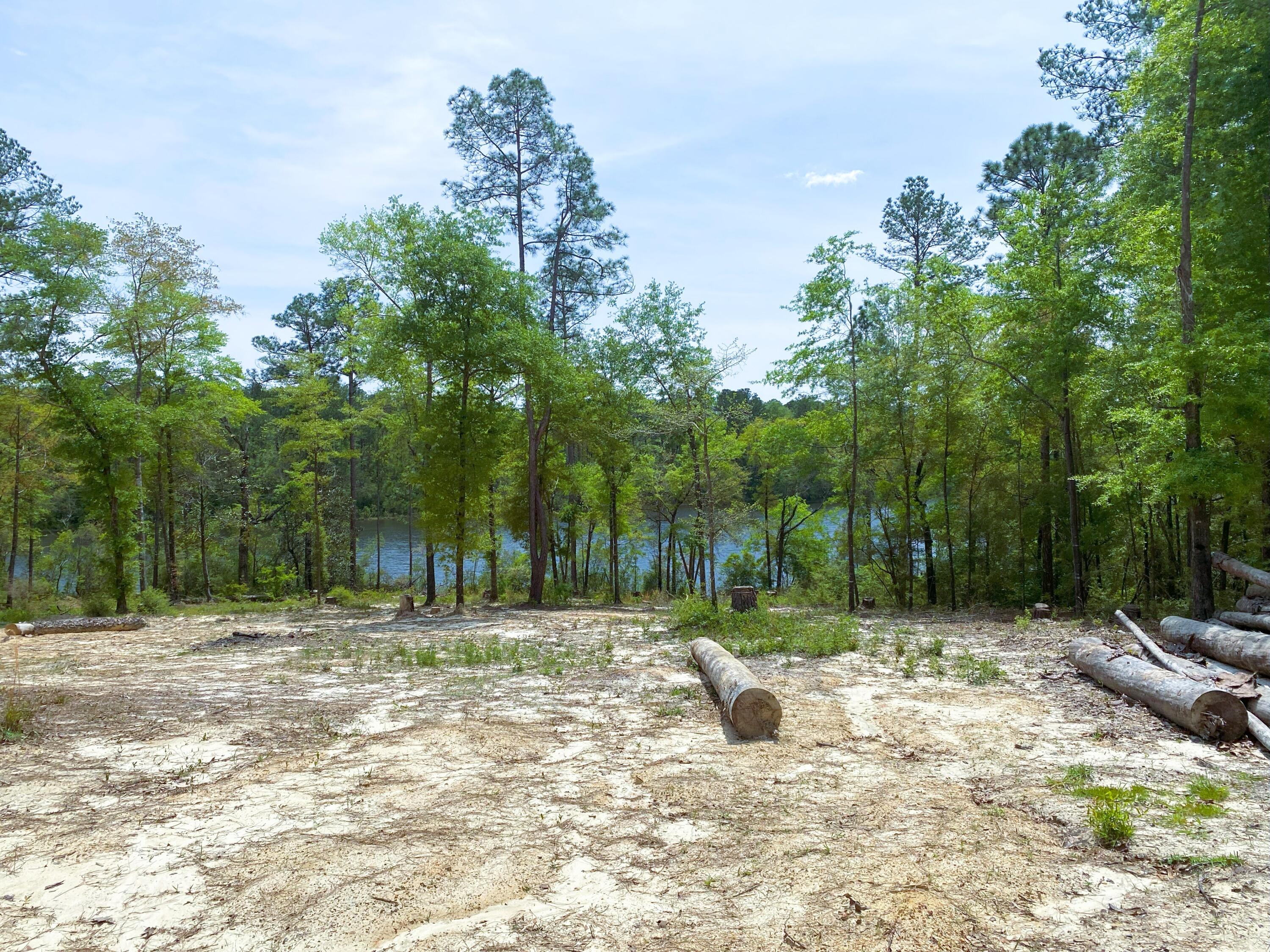 5410 Fawn Lake Road Crestview, FL 32539 - Photo 4 of 52 Fawn Lake 7A Clearing