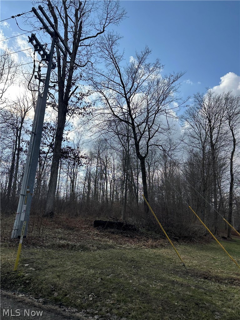 12651 Grant Road Howard, OH 43028 - Photo 1 of 1