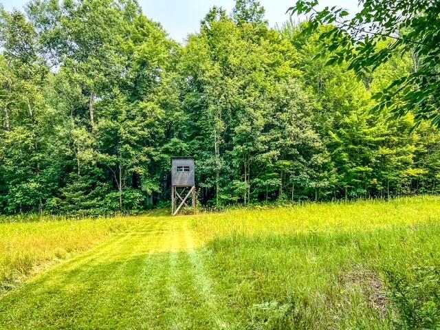 5495 West Clarence Road Harrison, MI 48625 - Photo 3 of 44