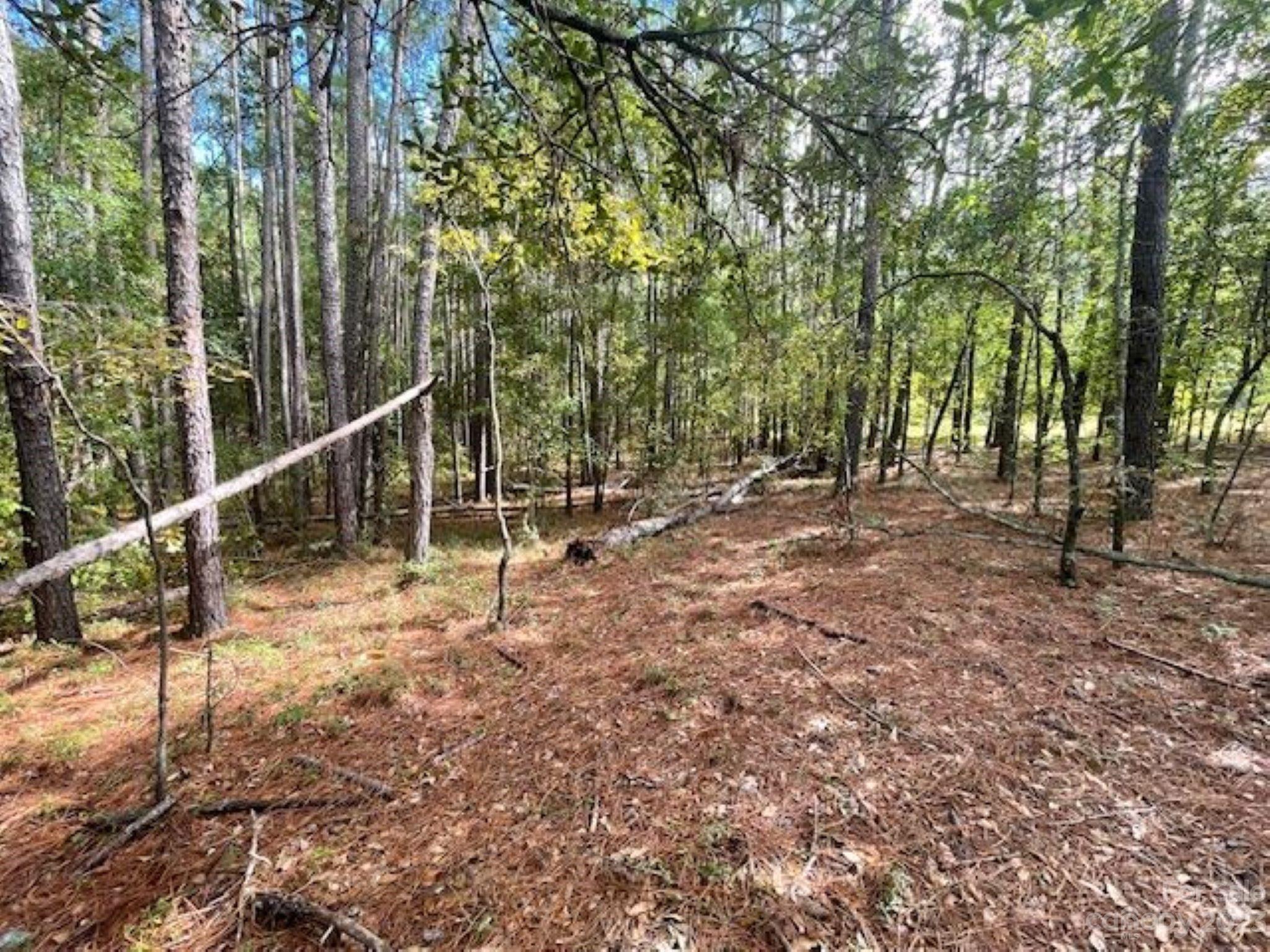 0 Center Point Road Chesterfield, SC 29709 - Photo 3 of 9 a view of backyard with trees