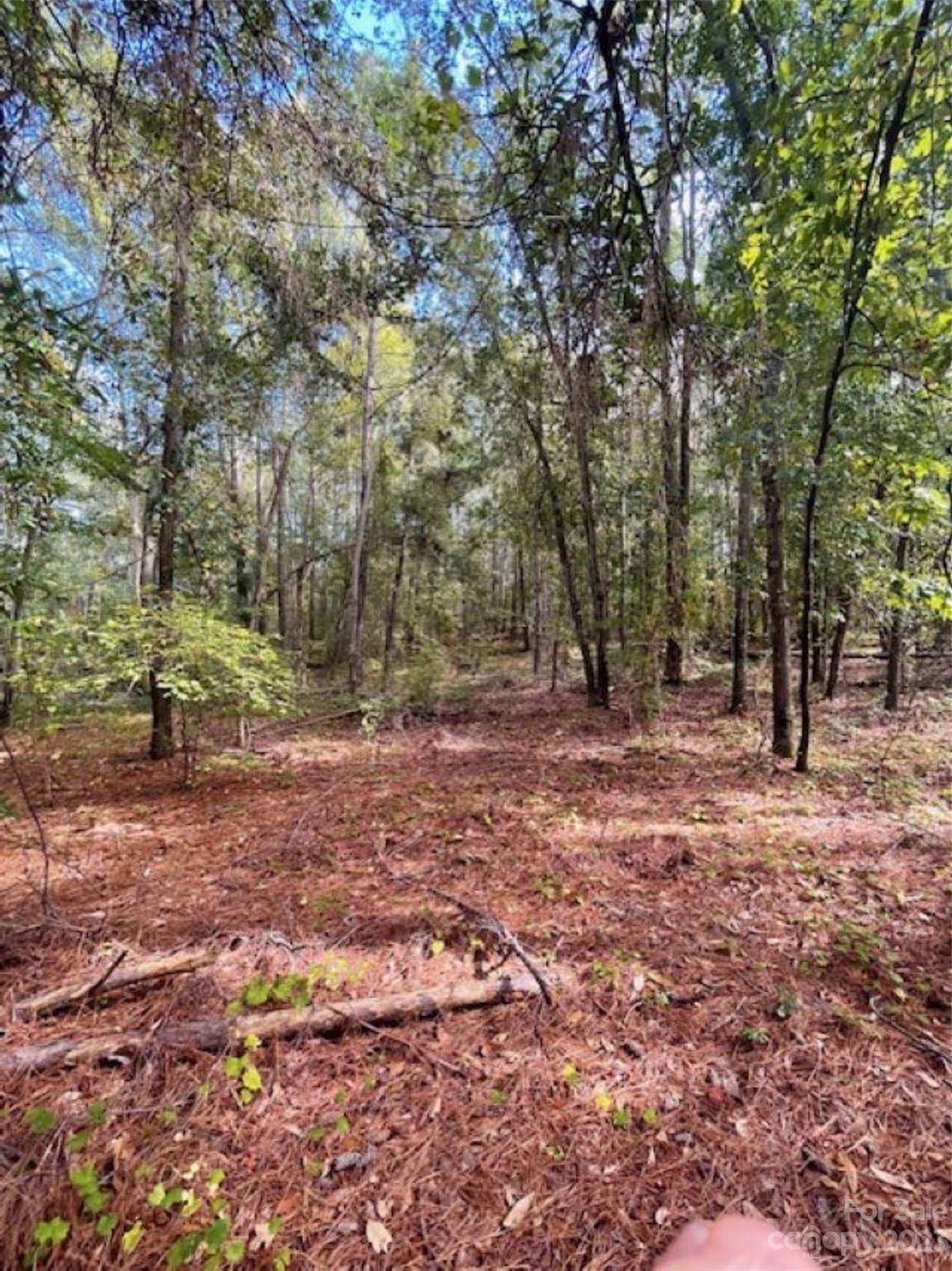 0 Center Point Road Chesterfield, SC 29709 - Photo 5 of 9 a view of outdoor space with trees