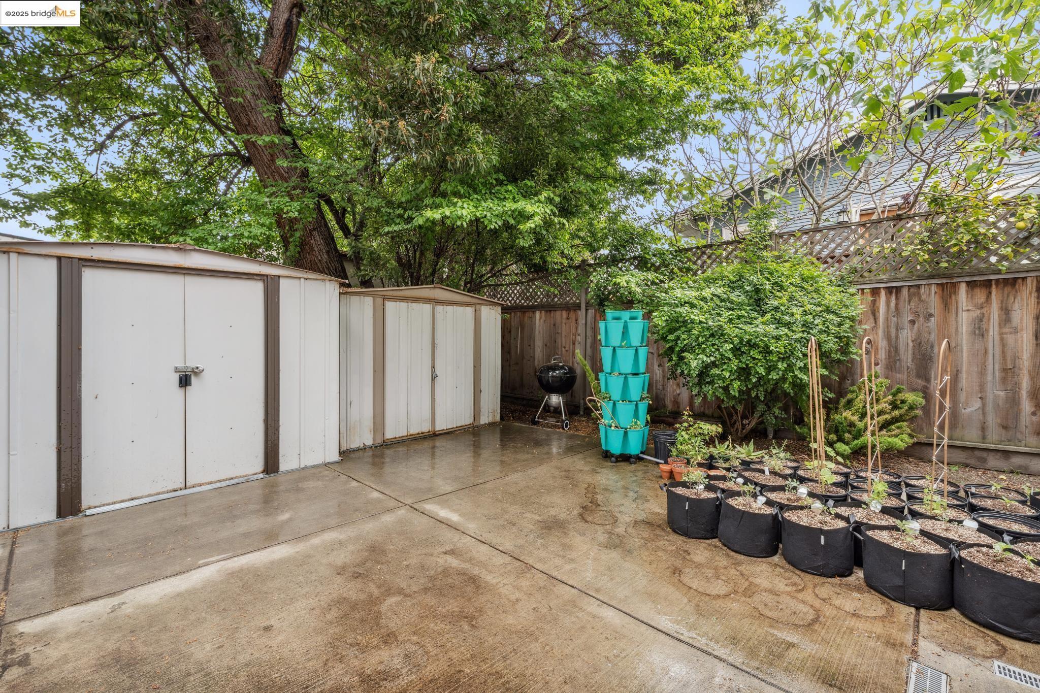 1226 Russell Street Berkeley, CA 94702 - Photo 19 of 32 a view of a backyard with patio