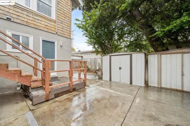 a view of backyard with a large tree and wooden fence