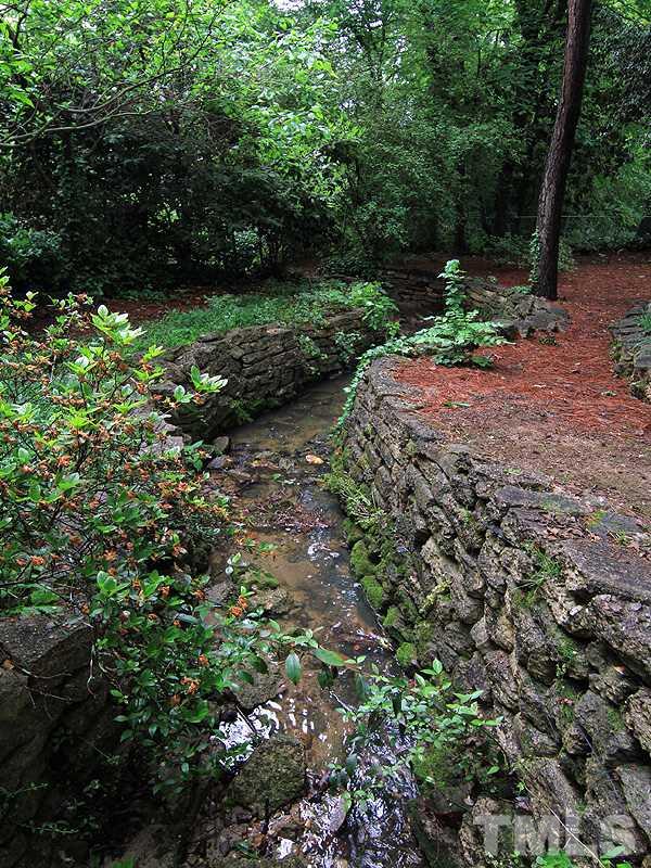 2327 Byrd Street Raleigh, NC 27608 - Photo 24 of 25 a view of a lush green forest