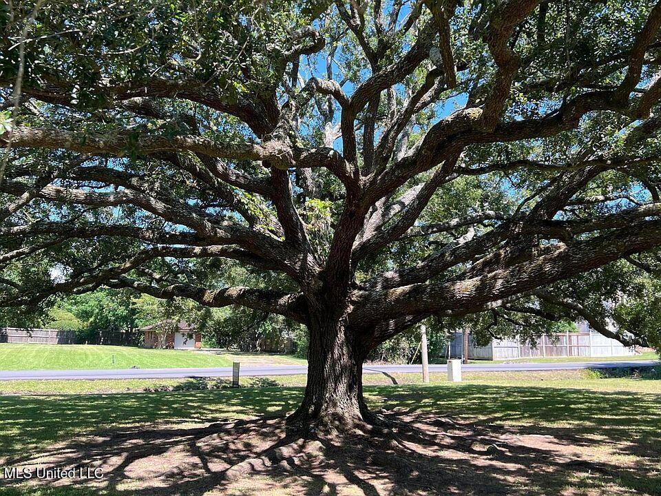4375 Courthouse Road Gulfport, MS 39507 - Photo 2 of 2 OAK