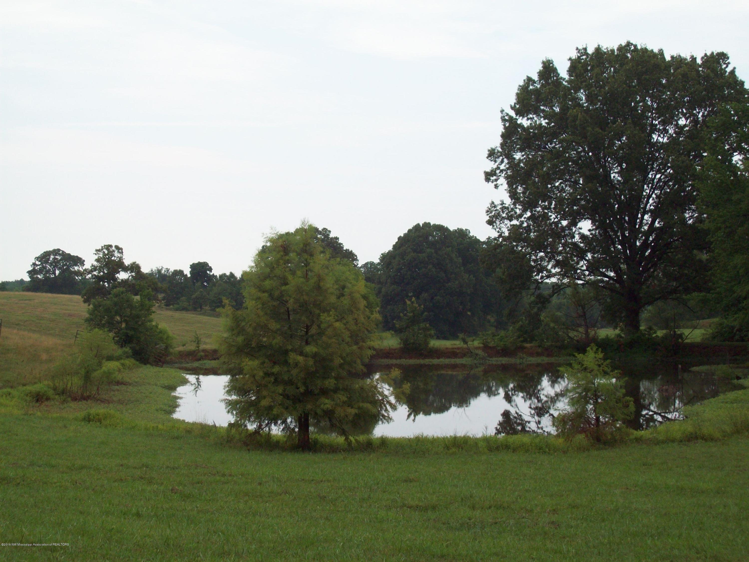1660 Bluegoose Road Sarah, MS 38665 - Photo 17 of 30 018