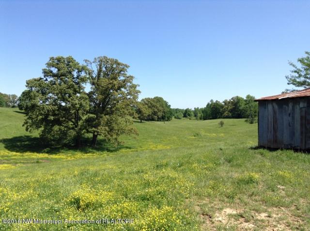 1660 Bluegoose Road Sarah, MS 38665 - Photo 23 of 30 IMG_1437 (640x478)