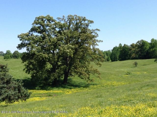 1660 Bluegoose Road Sarah, MS 38665 - Photo 29 of 30 IMG_1445 (640x478)