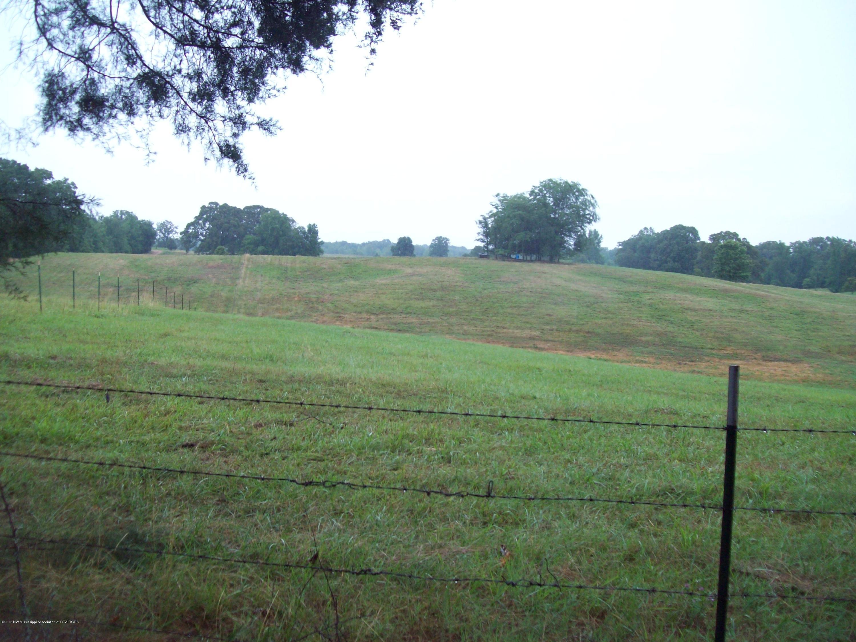 1660 Bluegoose Road Sarah, MS 38665 - Photo 3 of 30 003