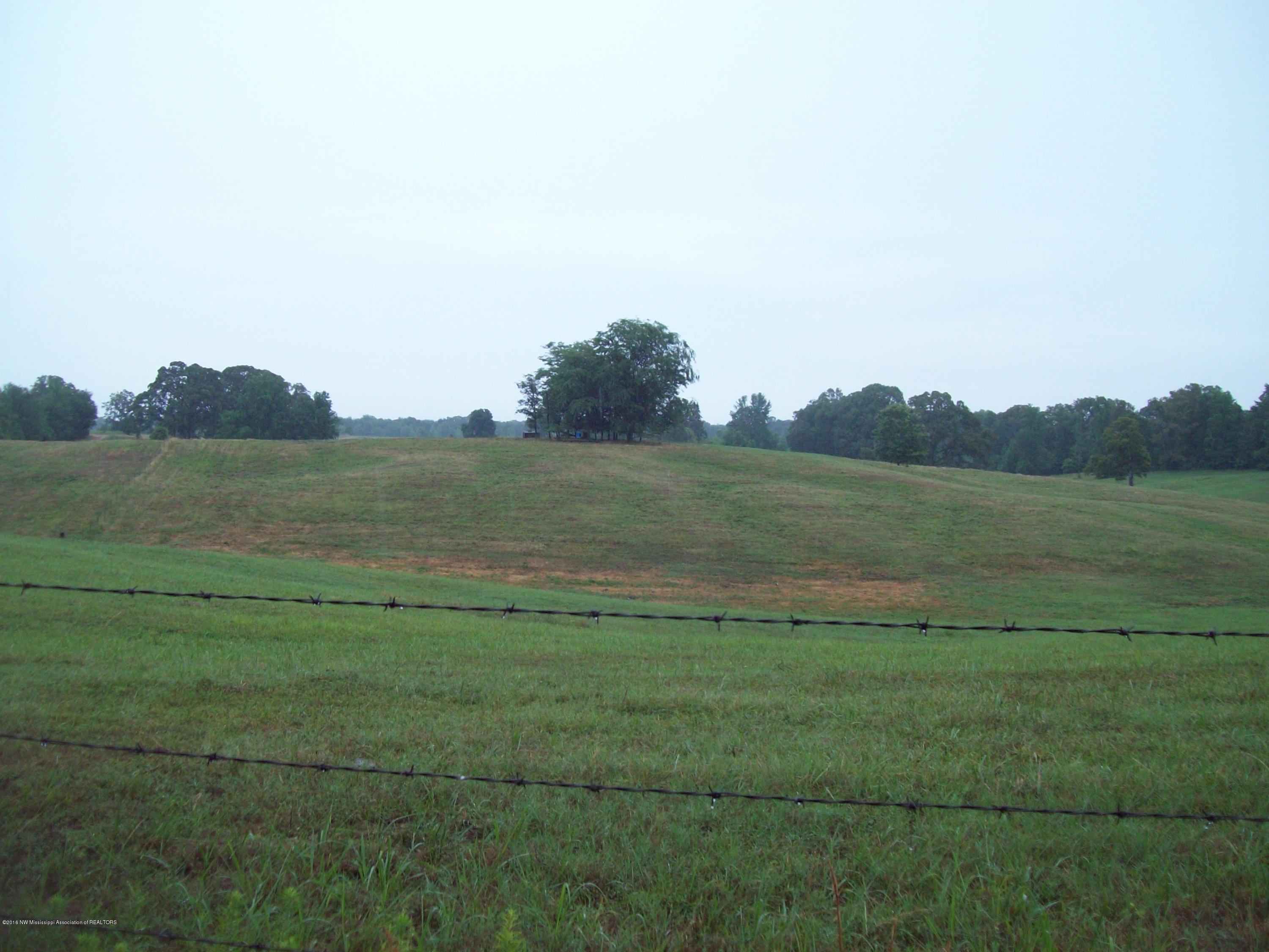 1660 Bluegoose Road Sarah, MS 38665 - Photo 5 of 30 005