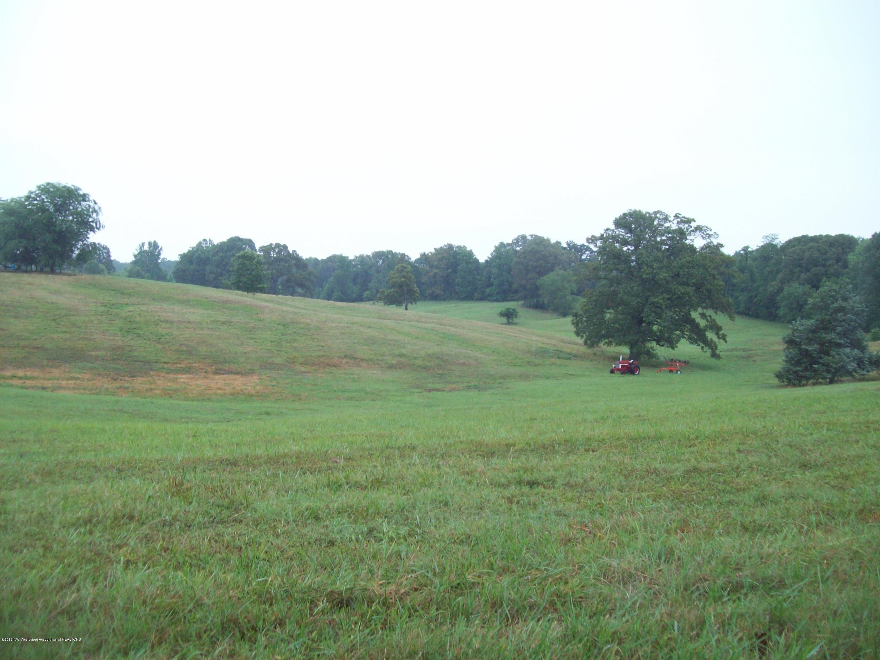 1660 Bluegoose Road Sarah, MS 38665 - Photo 8 of 30 008