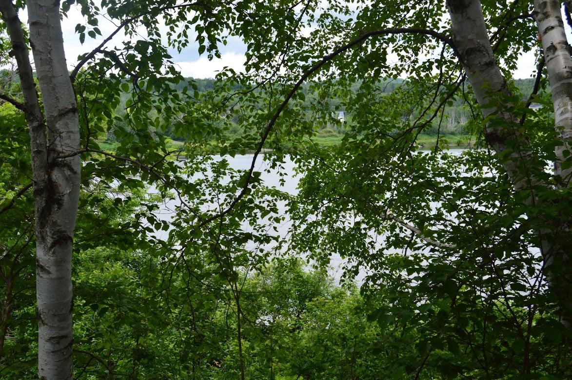 715 St John Road Fort Kent, ME 04743 - Photo 118 of 138 DSC_2318 (2)
