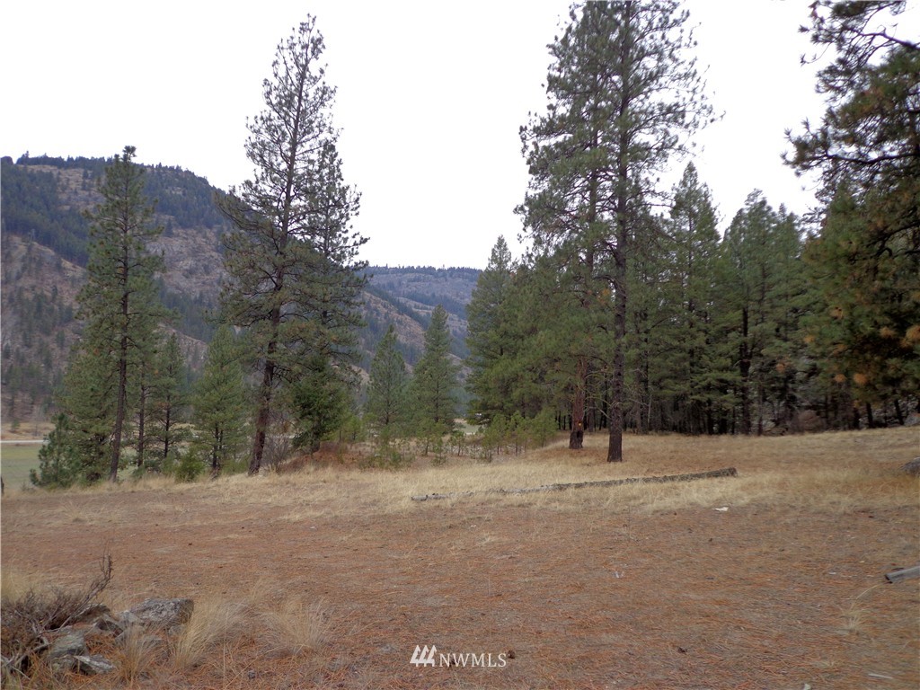 508 Customs Road Curlew, WA 99118 - Photo 1 of 19 Gallery Image 1