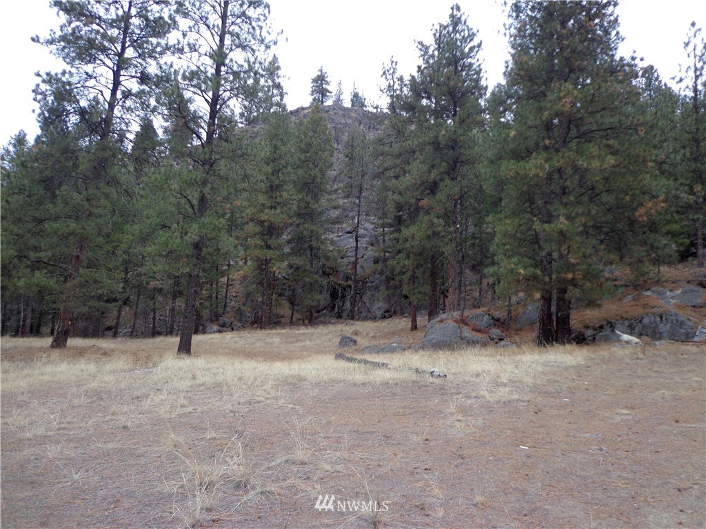 508 Customs Road Curlew, WA 99118 - Photo 2 of 19 Gallery Image 2