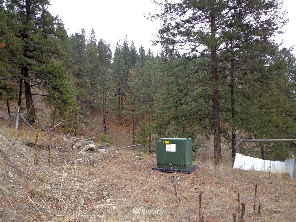 508 Customs Road Curlew, WA 99118 - Photo 11 of 19 Gallery Image 11