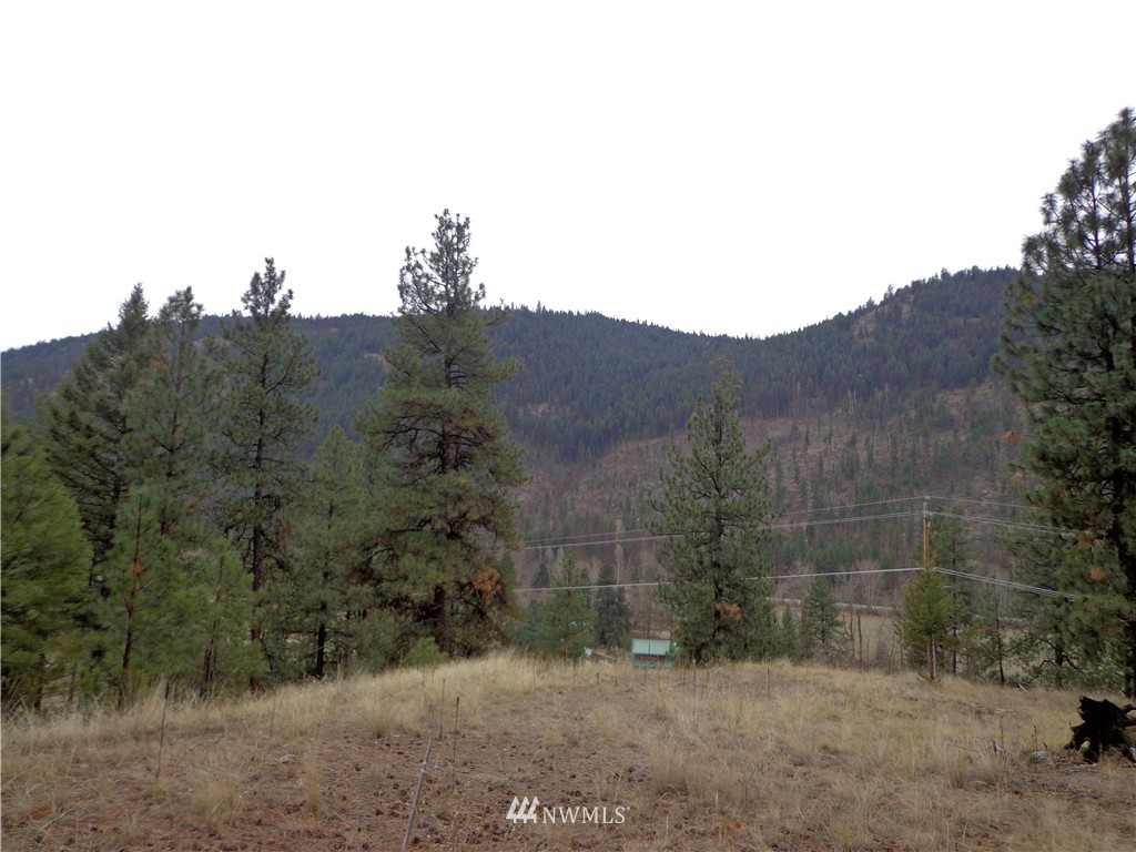 508 Customs Road Curlew, WA 99118 - Photo 12 of 19 Gallery Image 12