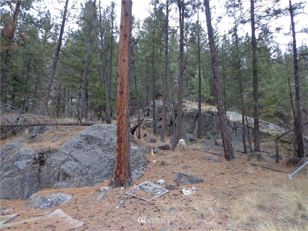 508 Customs Road Curlew, WA 99118 - Photo 13 of 19 Gallery Image 13