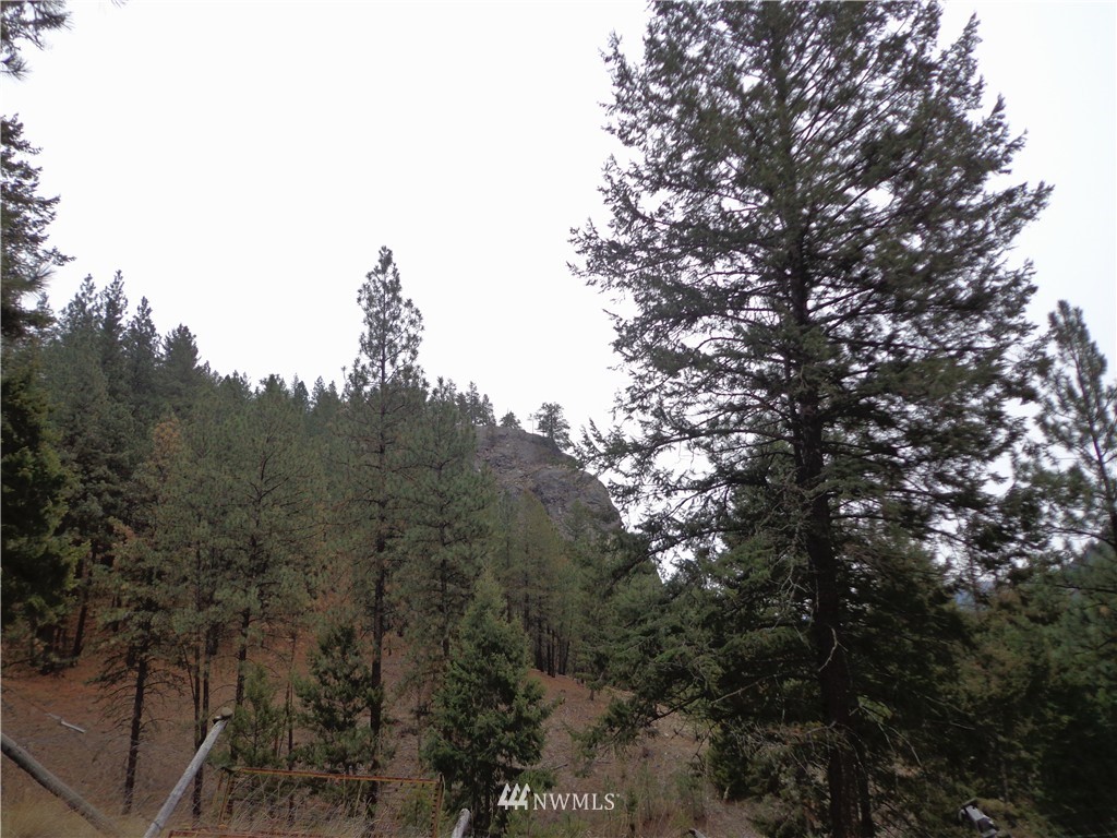 508 Customs Road Curlew, WA 99118 - Photo 14 of 19 Gallery Image 14
