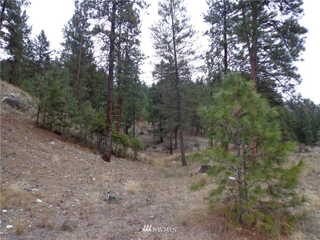 508 Customs Road Curlew, WA 99118 - Photo 18 of 19 Gallery Image 18