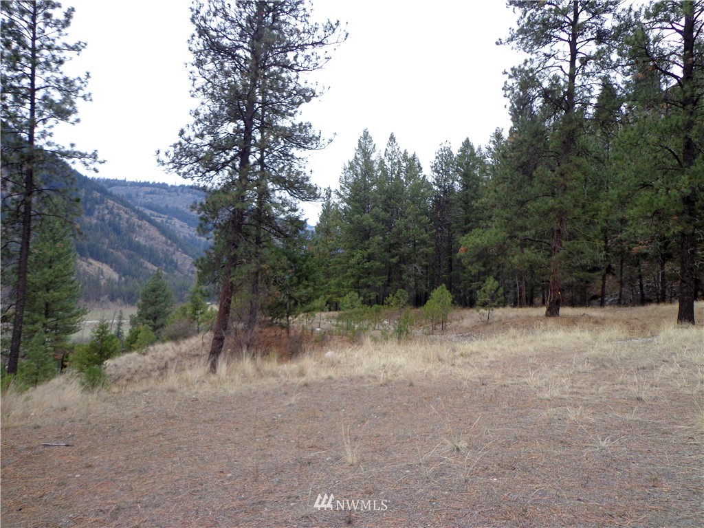 508 Customs Road Curlew, WA 99118 - Photo 3 of 19 Gallery Image 3