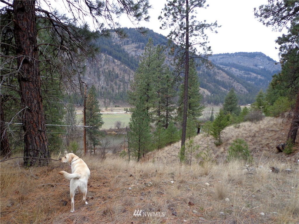 508 Customs Road Curlew, WA 99118 - Photo 4 of 19 Gallery Image 4