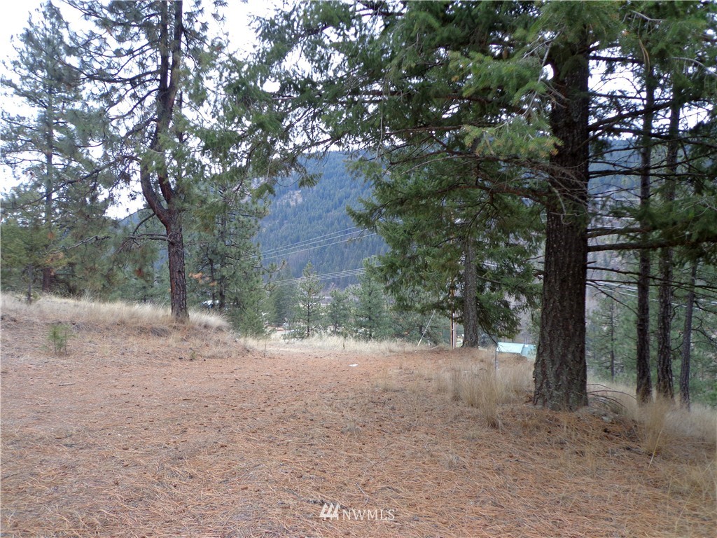 508 Customs Road Curlew, WA 99118 - Photo 7 of 19 Gallery Image 7