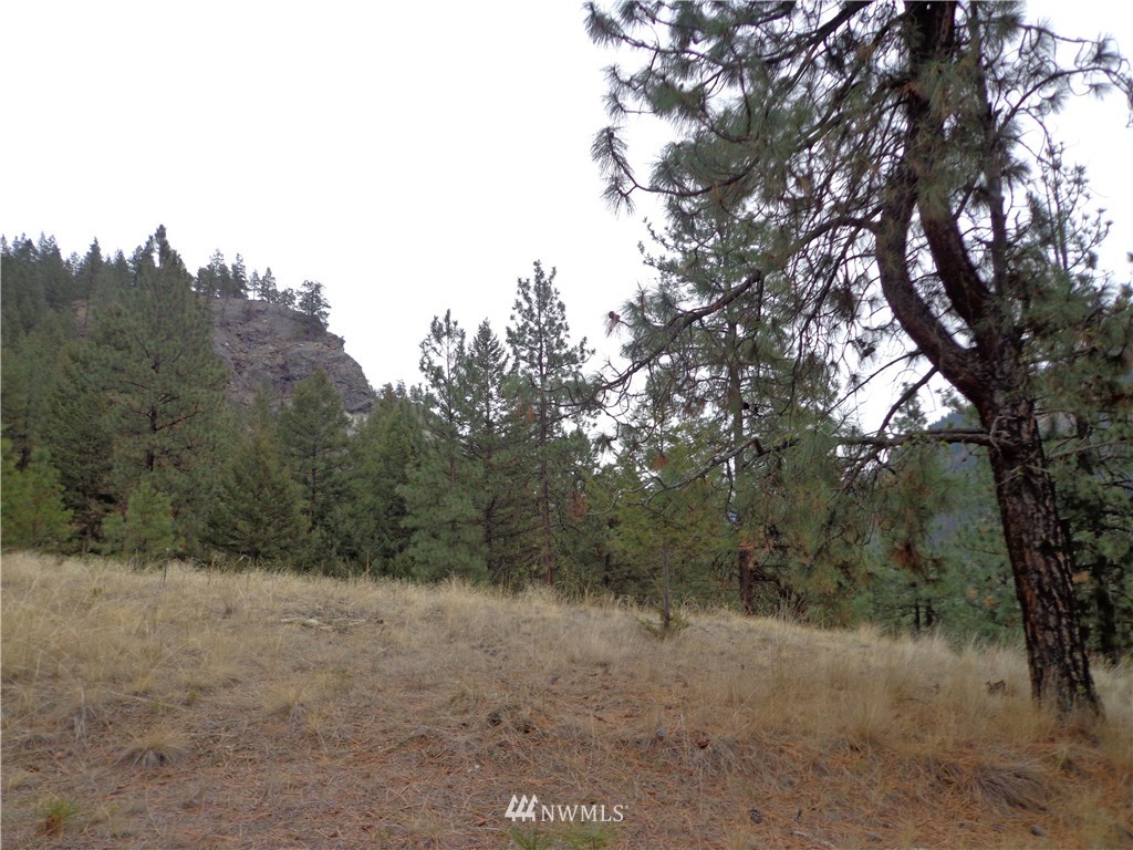 508 Customs Road Curlew, WA 99118 - Photo 8 of 19 Gallery Image 8