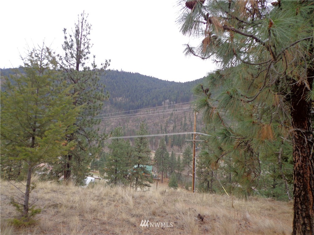 508 Customs Road Curlew, WA 99118 - Photo 10 of 19 Gallery Image 10