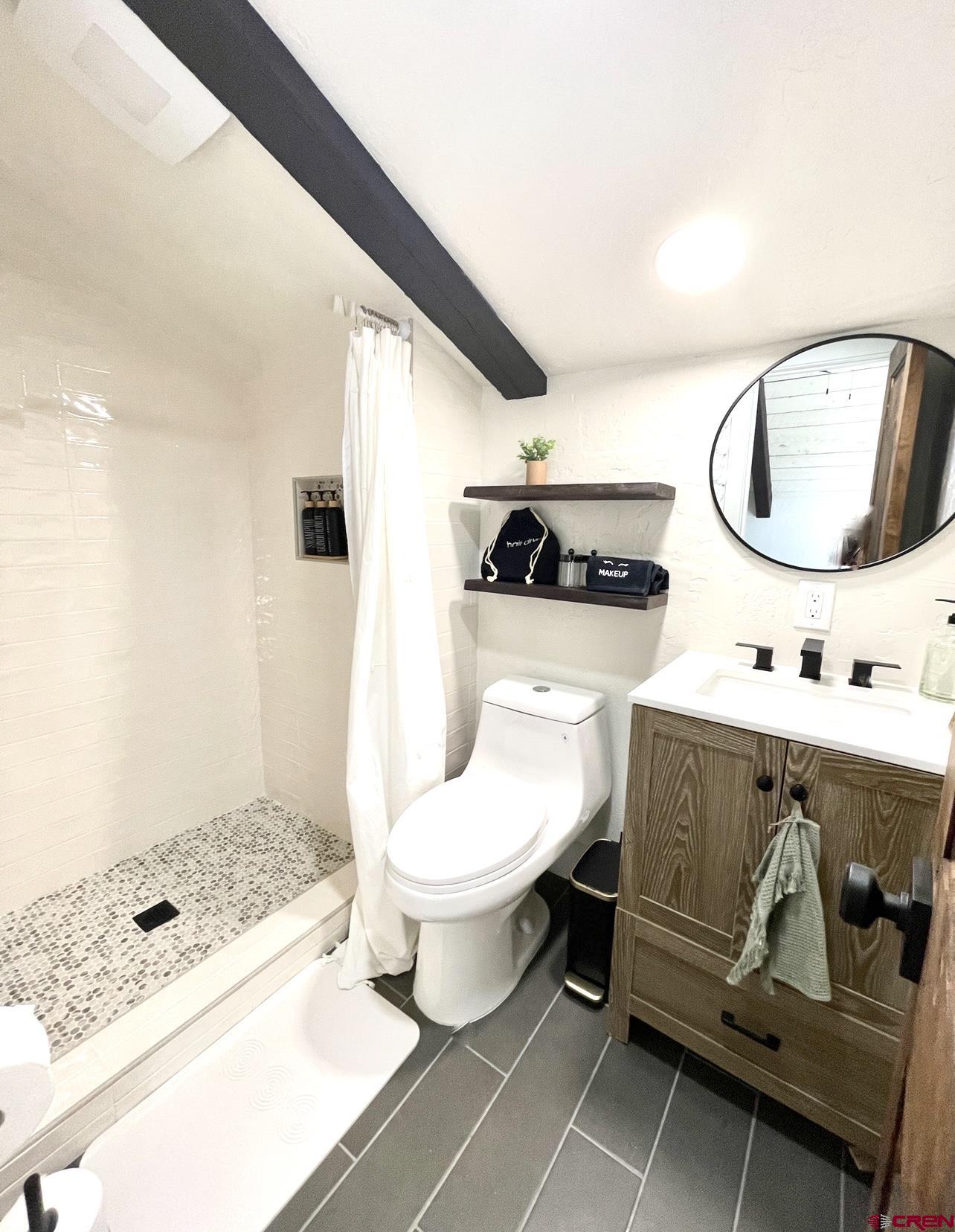 170 Lower Allen Road Crested Butte, CO 81224 - Photo 16 of 42 a bathroom with a sink toilet and shower