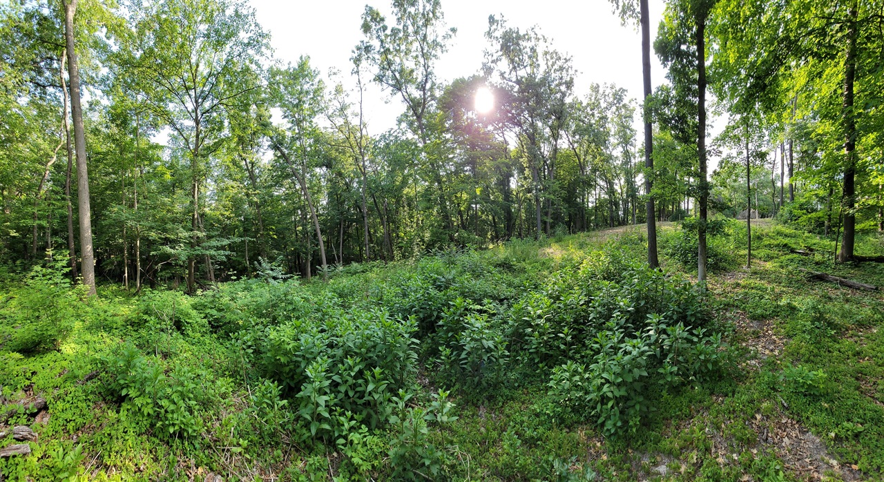 357 East North Street Portland, MI 48875 - Photo 5 of 32