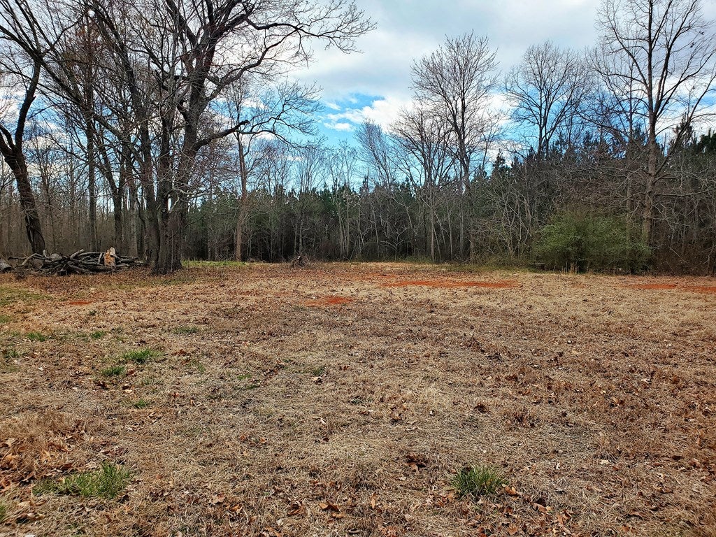 4551 Spring Mill Road Concord, VA 24538 - Photo 5 of 7 Gallery Image 5