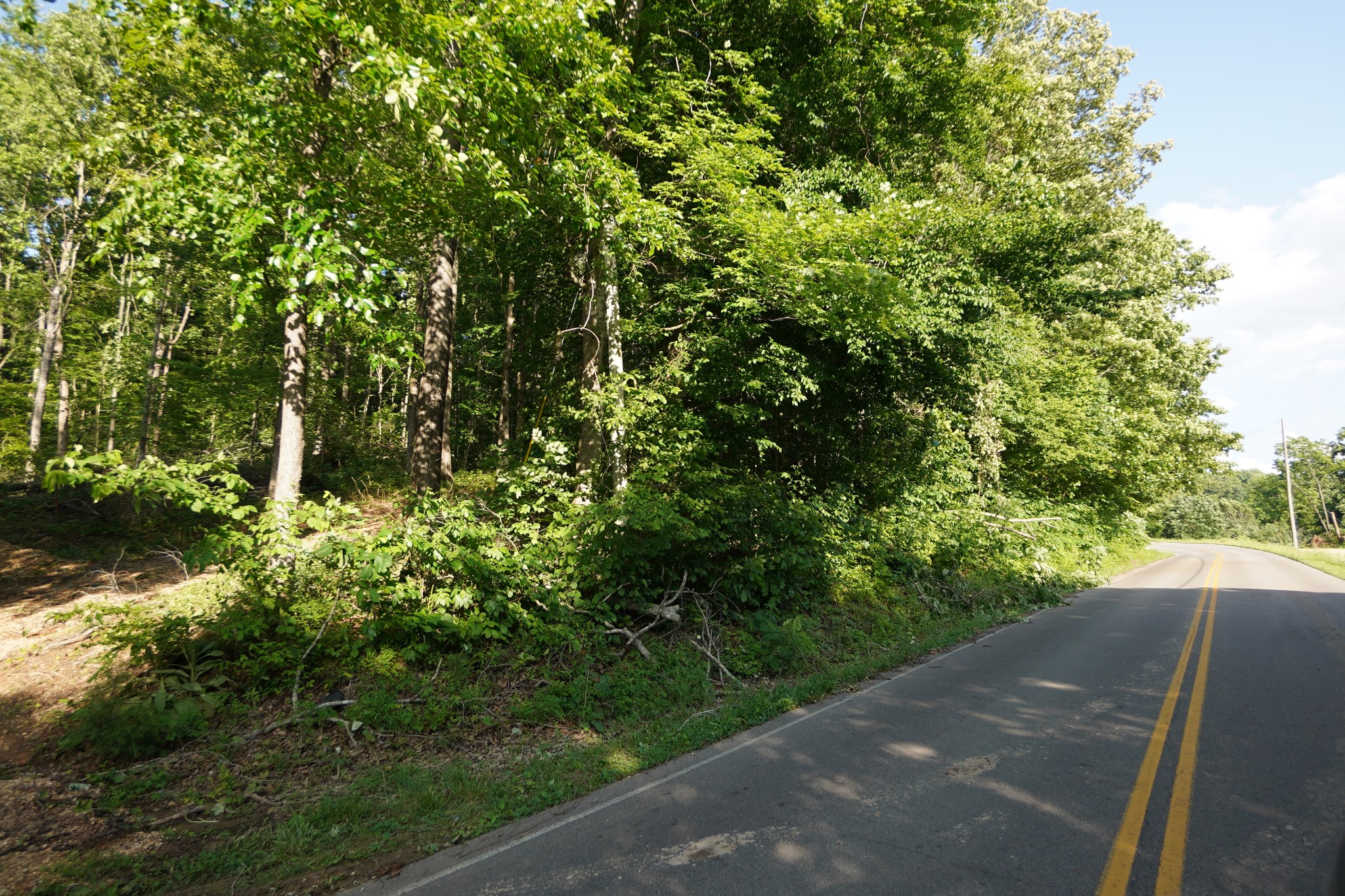 2000 Bumpus Mills Road Dover, TN 37058 - Photo 1 of 19 Gallery Image 1