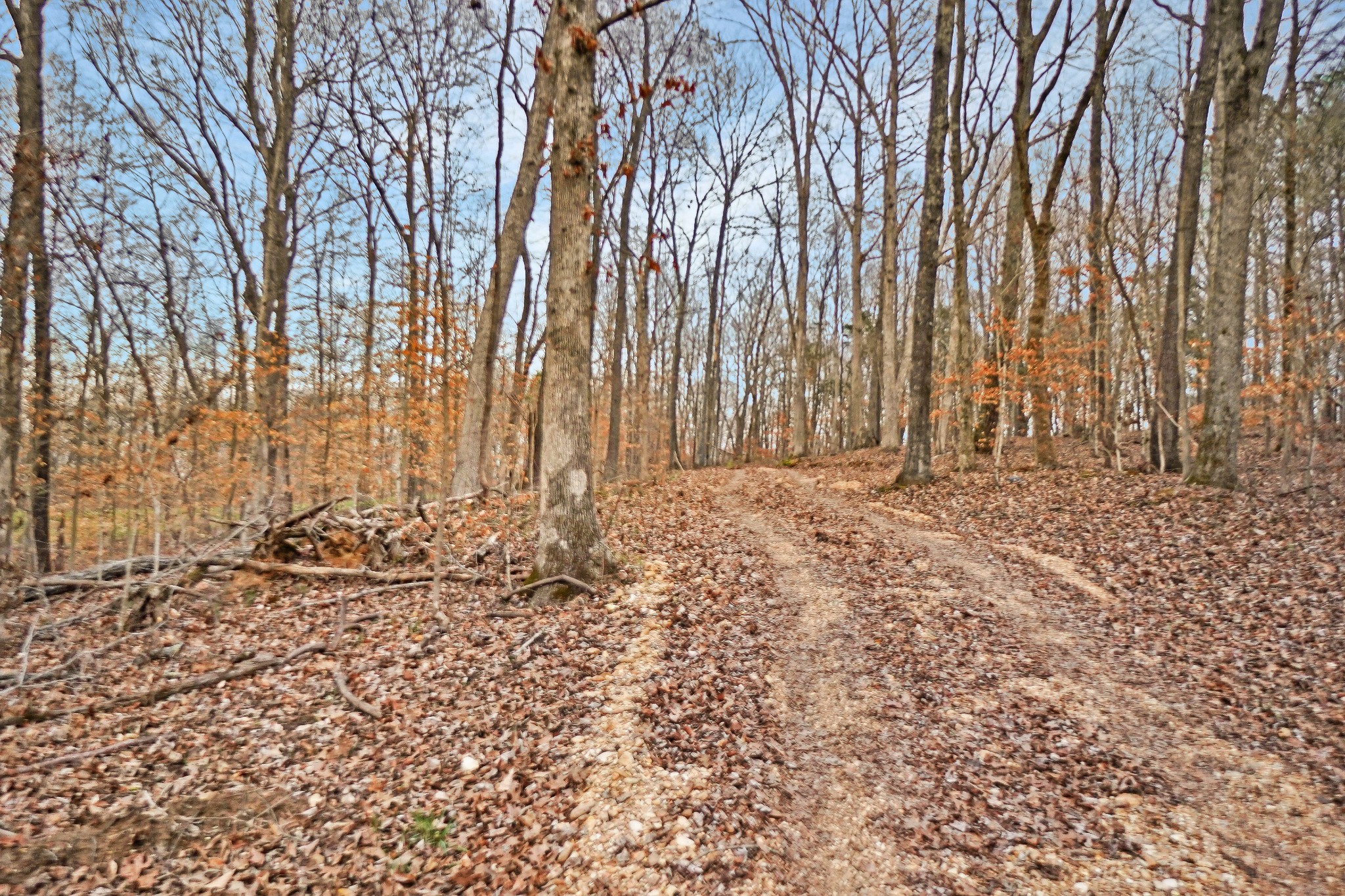 2000 Bumpus Mills Road Dover, TN 37058 - Photo 13 of 19 Gallery Image 13