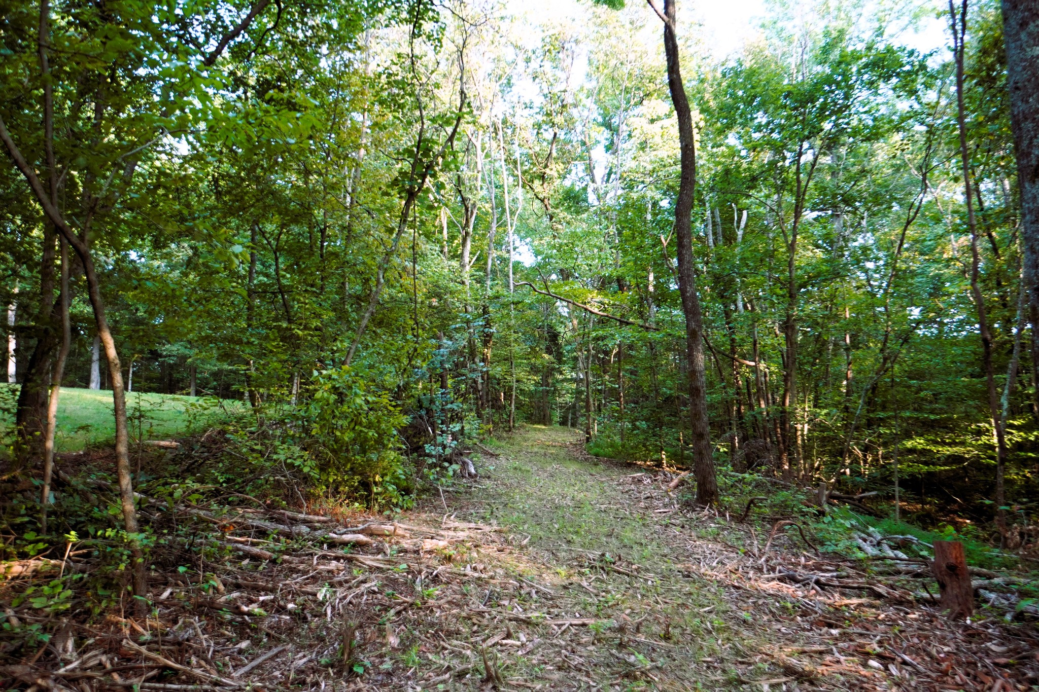 2000 Bumpus Mills Road Dover, TN 37058 - Photo 17 of 19 Gallery Image 17