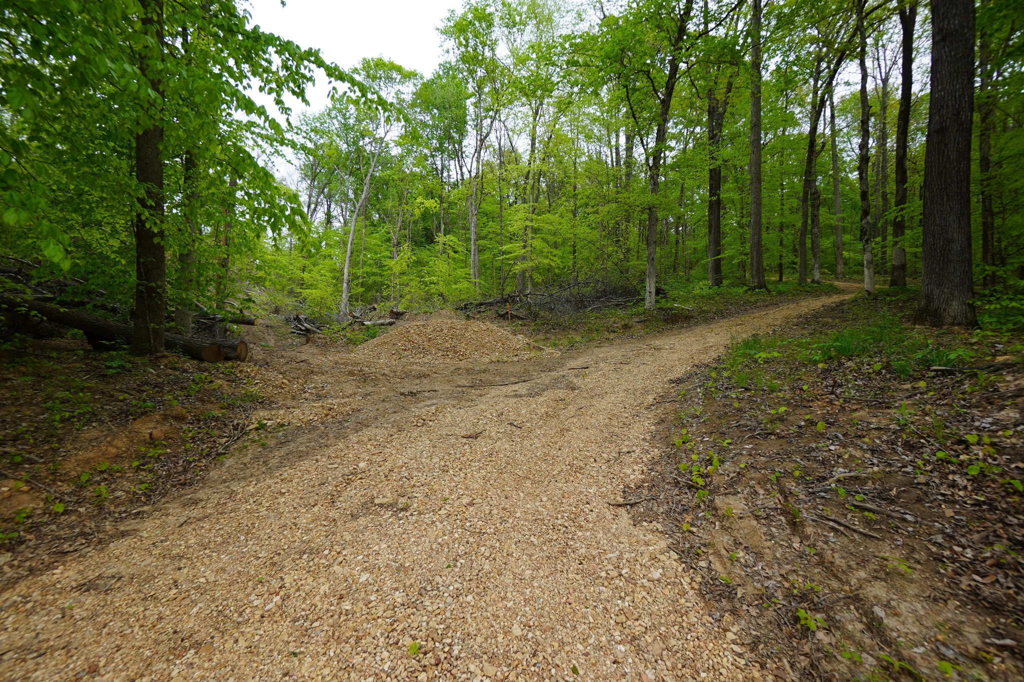 2000 Bumpus Mills Road Dover, TN 37058 - Photo 6 of 19 Gallery Image 6